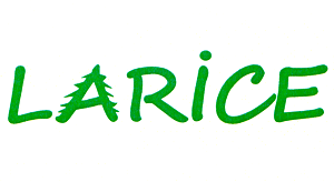 LARICE