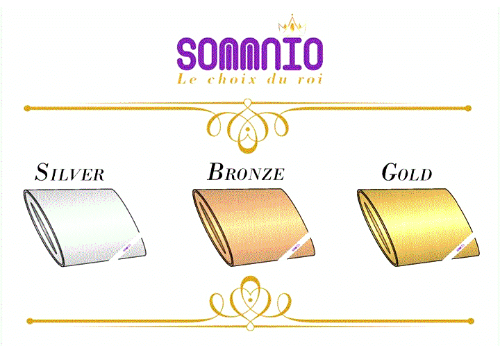 SOMMNIO Le choix du roi SILVER BRONZE GOLD