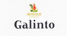 Galinto AVICOLA SLOBOZIA