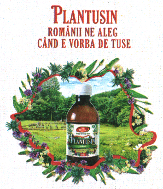 PLANTUSIN ROMÂNII NE ALEG CÂND E VORBA DE TUSE