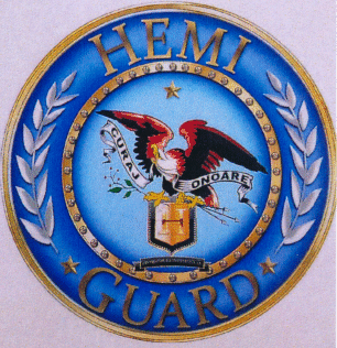 HEMI GUARD SECURITY