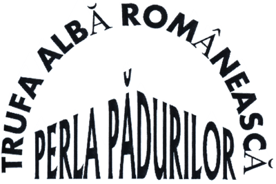 TRUFA ALBĂ ROMÂNEASCĂ PERLA PĂDURILOR