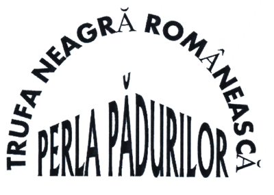 TRUFA NEAGRĂ ROMÂNEASCĂ PERLA PĂDURILOR