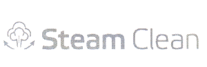Steam Clean