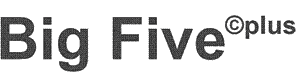 Big Five plus