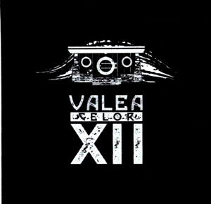 VALEA CELOR XII