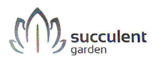 succulent garden