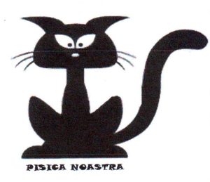PISICA NOASTRA
