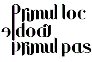 Primul loc e doar primul pas