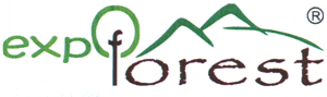 expo forest