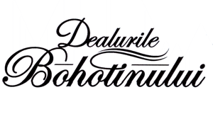 Dealurile Bohotinului