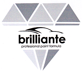 brilliante professional paint formula