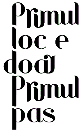 Primul loc e doar primul pas
