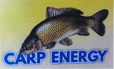 CARP ENERGY