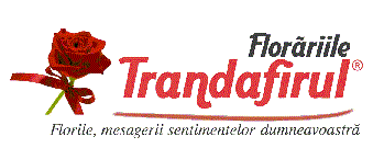Florăriile Trandafirul Florile, mesagerii sentimentelor dumneavoastră