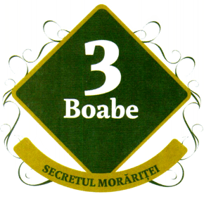 3 Boabe SECRETUL MORĂRIŢEI