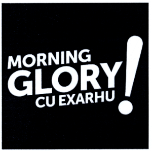 MORNING GLORY CU EXARHU!