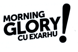 MORNING GLORY CU EXARHU!