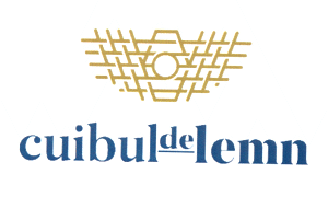 cuibul de lemn