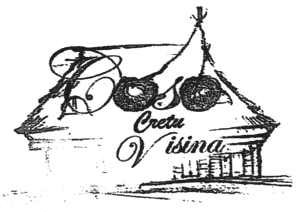Casa Cretu Visina