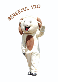 BERBECUL VIO
