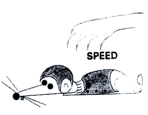 SPEED