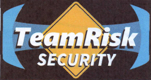 TeamRisk SECURITY