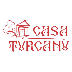 CASA ȚURCANU