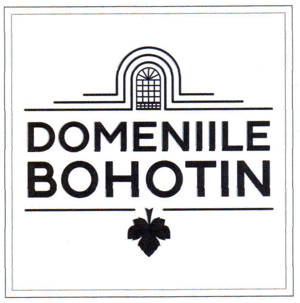 DOMENIILE BOHOTIN