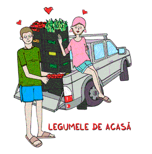 LEGUMELE DE ACASĂ