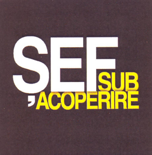 ŞEF SUB ACOPERIRE