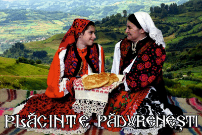 PLĂCINTE PĂDURENEȘTI
