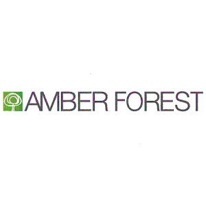 AMBER FOREST