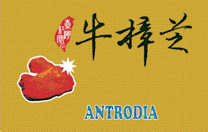 ANTRODIA