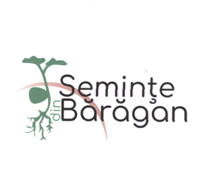 Seminţe din Bărăgan