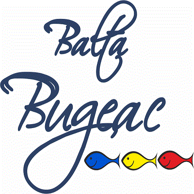 Balta Bugeac