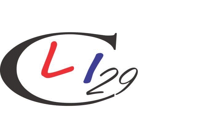 LIC 29