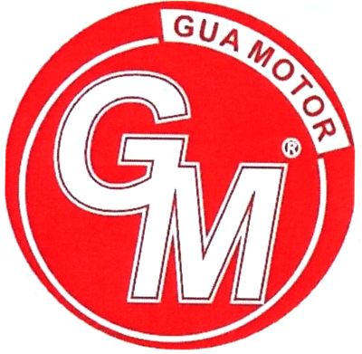 GM GUA MOTOR