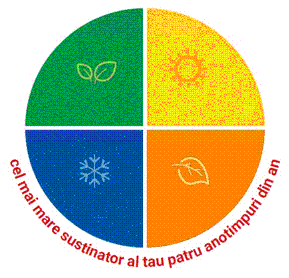 cel mai mare sustinator al tau patru anotimpuri din an