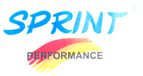 SPRINT PERFORMANCE