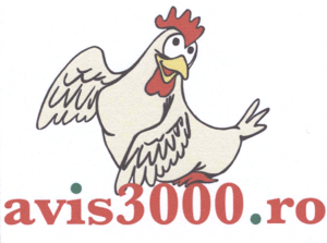 avis3000.ro