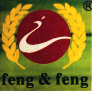 feng & feng