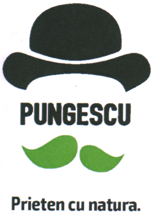 PUNGESCU Prieten cu natura.