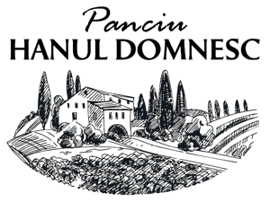 Panciu HANUL DOMNESC