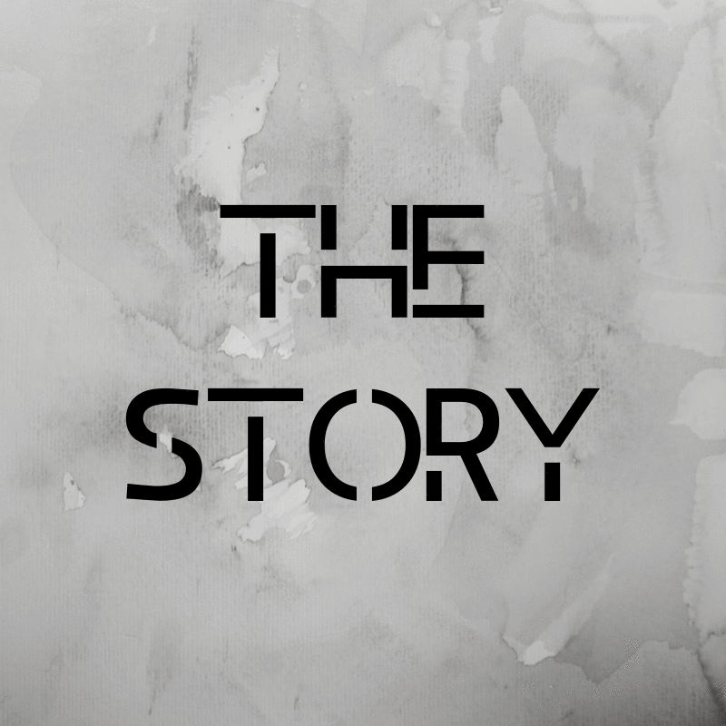 THE STORY