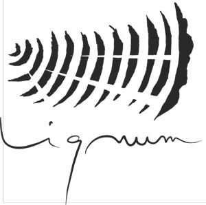 Lignum
