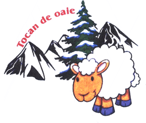 Tocan de oaie