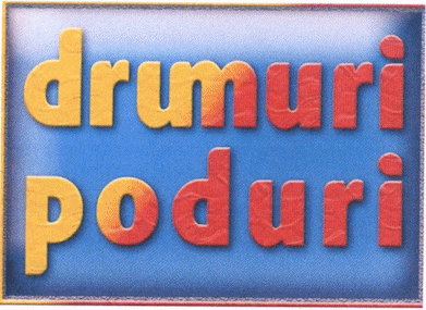 drumuri poduri