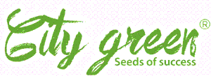 City green Seeds of success