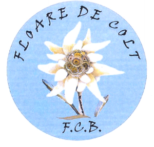 FLOARE DE COLT F.C.B.
